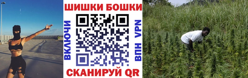 Где купить Сасово АМФ  Псилоцибиновые грибы  A-PVP  Гашиш 
