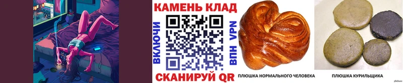 ГАШИШ VHQ  Сасово 