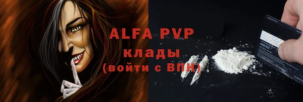 ПСИЛОЦИБИНОВЫЕ ГРИБЫ Осинники