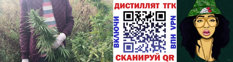 мориарти как зайти  Сасово  Дистиллят ТГК Wax 